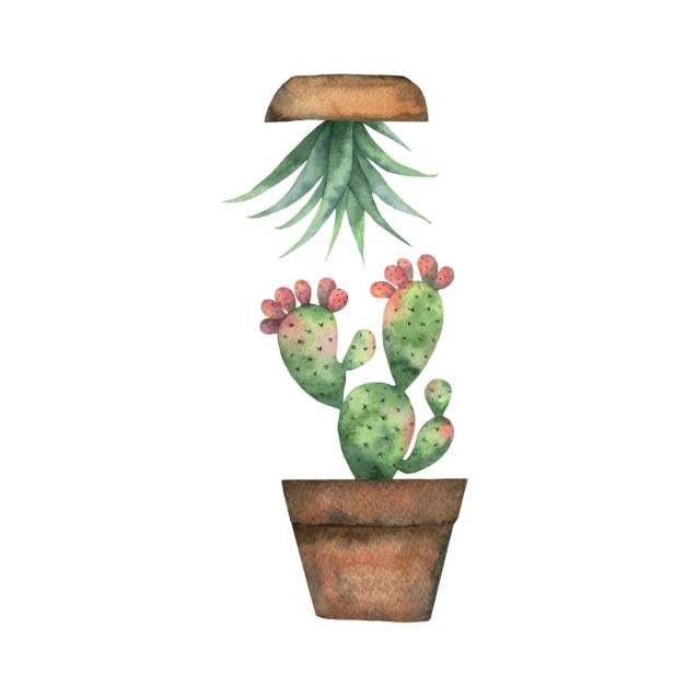 Αυτοκόλλητα Βινυλίου για Τζάμι Ango Cactus 69001 Αυτοκόλλητα Βινυλίου για Τζάμι Ango Cactus 69001