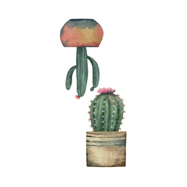 Αυτοκόλλητα Βινυλίου για Τζάμι Ango Cactus 69001 Αυτοκόλλητα Βινυλίου για Τζάμι Ango Cactus 69001