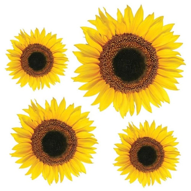 Αυτοκόλλητα Βινυλίου Για Τοίχο Ango Sunflower 54106 Αυτοκόλλητα Βινυλίου Για Τοίχο Ango Sunflower 54106