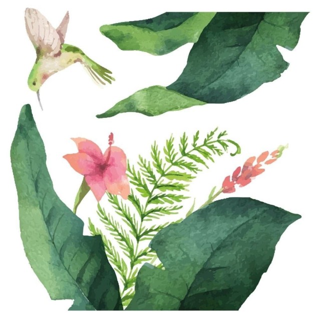 Αυτοκόλλητα Βινυλίου Για Τζάμι Ango Tropical Flowers 64017 Αυτοκόλλητα Βινυλίου Για Τζάμι Ango Tropical Flowers 64017