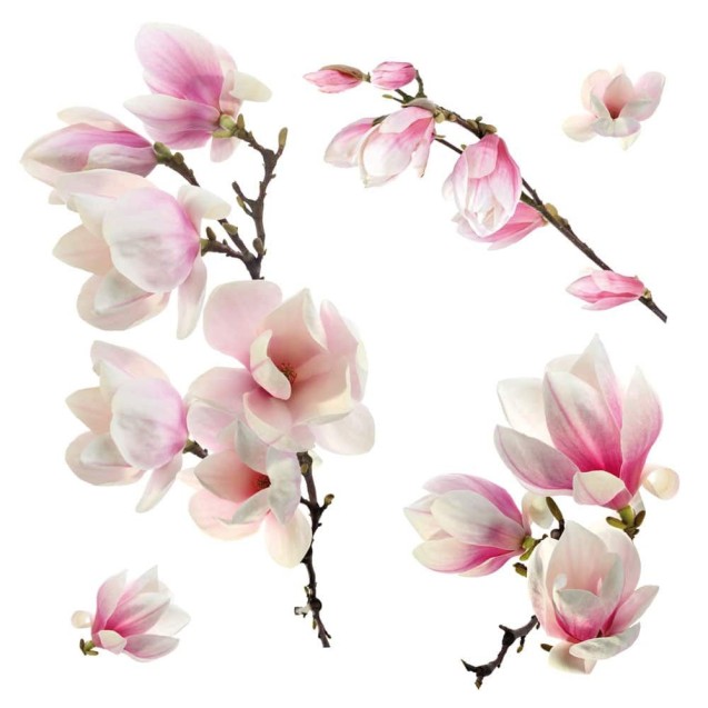 Αυτοκόλλητα Βινυλίου για Τζάμι Ango Magnolia 64006 Αυτοκόλλητα Βινυλίου για Τζάμι Ango Magnolia 64006