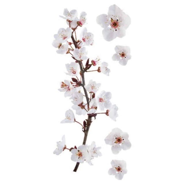 Αυτοκόλλητα Τοίχου Ango Photographic Blossom 59389 Αυτοκόλλητα Τοίχου Ango Photographic Blossom 59389