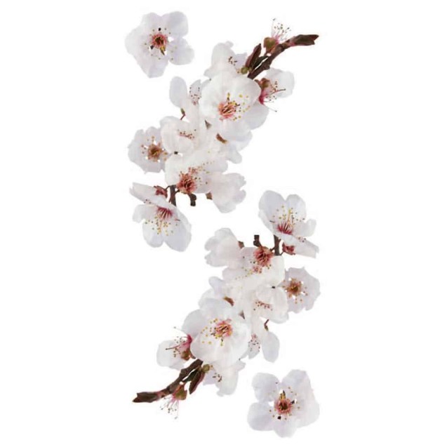 Αυτοκόλλητα Τοίχου Ango Photographic Blossom 59389 Αυτοκόλλητα Τοίχου Ango Photographic Blossom 59389