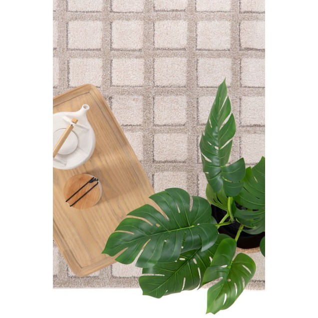 Χαλί Dune 608 561 Royal Carpet - 160 x 230 cm Χαλί Dune 608 561 Royal Carpet - 160 x 230 cm