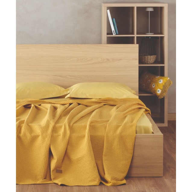 Κουβέρτα Πικέ Υπέρδιπλη Kentia Coen 28 230x240 Κουβέρτα Πικέ Υπέρδιπλη Kentia Coen 28 230x240