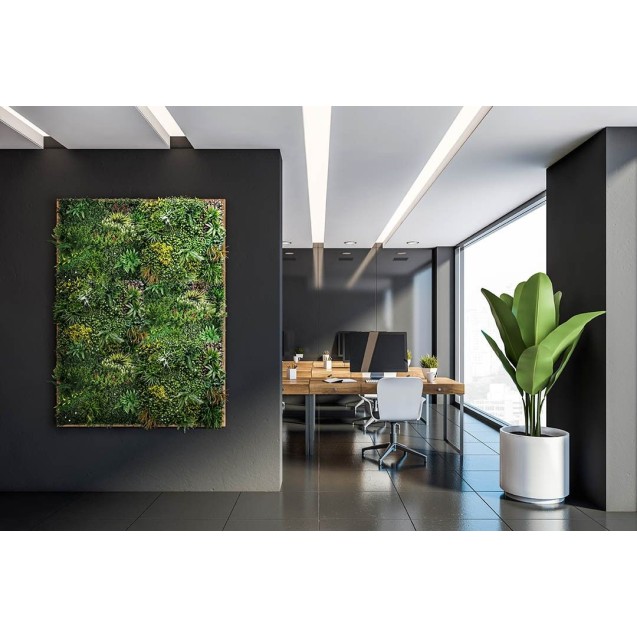 Κάθετος Κήπος  Paris 100 Χ 100 A074 Meadow Newplan Κάθετος Κήπος  Paris 100 Χ 100 A074 Meadow Newplan