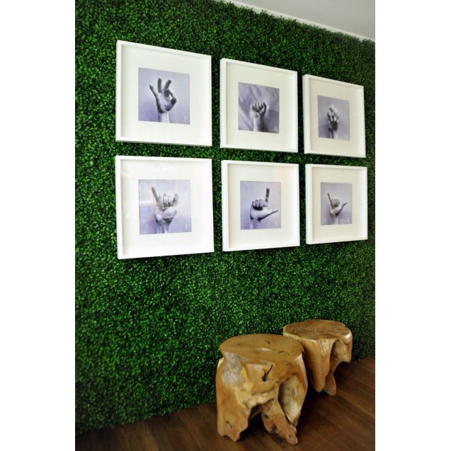 Πάνελ Φυλλωσιάς Berlin 50 Χ 50 A146 Boxwood Newplan Πάνελ Φυλλωσιάς Berlin 50 Χ 50 A146 Boxwood Newplan