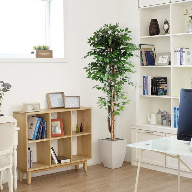 Ficus Tree Np0081_210   Ύψος 210cm Newplan Ficus Tree Np0081_210   Ύψος 210cm Newplan