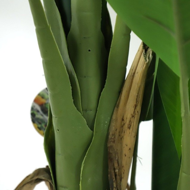 Banana Tree Np017_240_22  Ύψος 240cm Newplan Banana Tree Np017_240_22  Ύψος 240cm Newplan