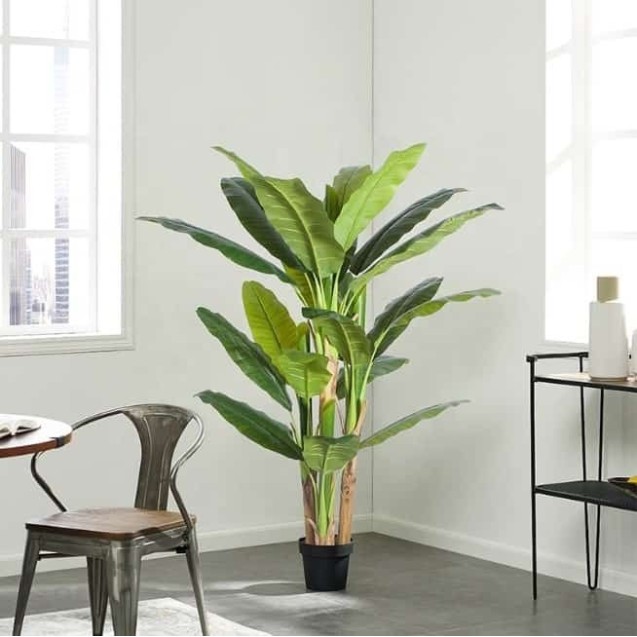 Banana Tree Np018_280_22  Ύψος 280cm Newplan Banana Tree Np018_280_22  Ύψος 280cm Newplan