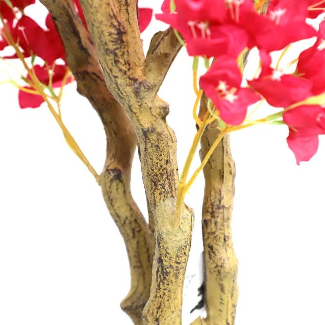 Bougainvillea  Np0421_210  Ύψος 210cm Newplan Bougainvillea  Np0421_210  Ύψος 210cm Newplan