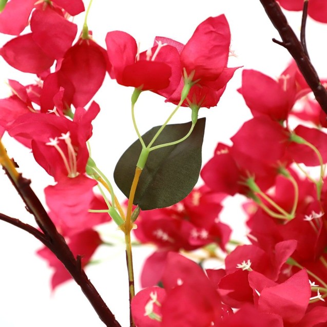 Bougainvillea  Np0421_210  Ύψος 210cm Newplan Bougainvillea  Np0421_210  Ύψος 210cm Newplan