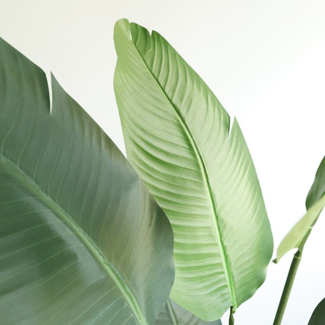 Banana Tree Np1412_180  Ύψος 180cm Newplan Banana Tree Np1412_180  Ύψος 180cm Newplan
