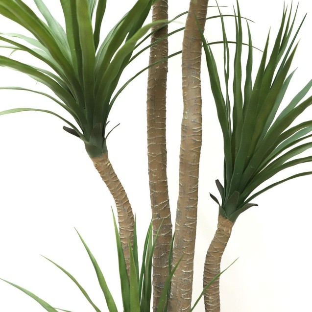 Dracaena  Np_28_155  Ύψος 155cm Newplan Dracaena  Np_28_155  Ύψος 155cm Newplan