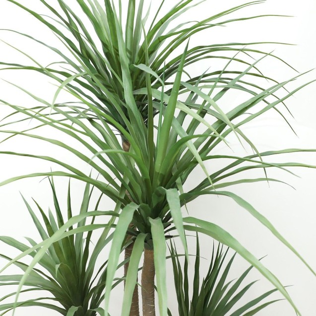 Dracaena  Np_28_155  Ύψος 155cm Newplan Dracaena  Np_28_155  Ύψος 155cm Newplan