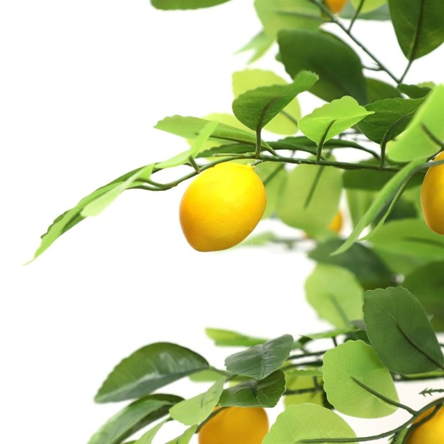 Lemon Tree  Np_30_170  Ύψος 170cm Newplan Lemon Tree  Np_30_170  Ύψος 170cm Newplan