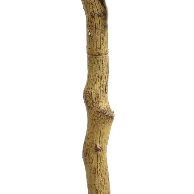 Lemon Tree  Np_30_170  Ύψος 170cm Newplan Lemon Tree  Np_30_170  Ύψος 170cm Newplan