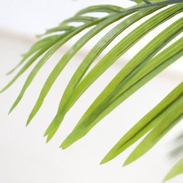 Palm Tree  Np5500_240_22 Ύψος 240cm Newplan Palm Tree  Np5500_240_22 Ύψος 240cm Newplan
