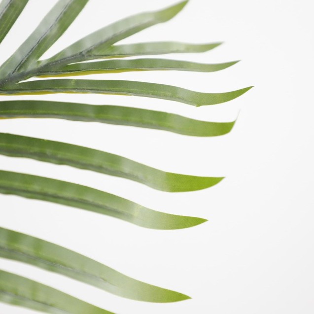 Palm Tree  Np5501_210_22  Ύψος 210cm Newplan Palm Tree  Np5501_210_22  Ύψος 210cm Newplan
