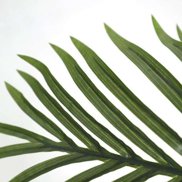 Palm Tree  Np5502_180_22   Ύψος 180cm Newplan Palm Tree  Np5502_180_22   Ύψος 180cm Newplan