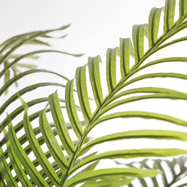 Palm Tree  Np5506_180_22  Ύψος 180cm Newplan Palm Tree  Np5506_180_22  Ύψος 180cm Newplan