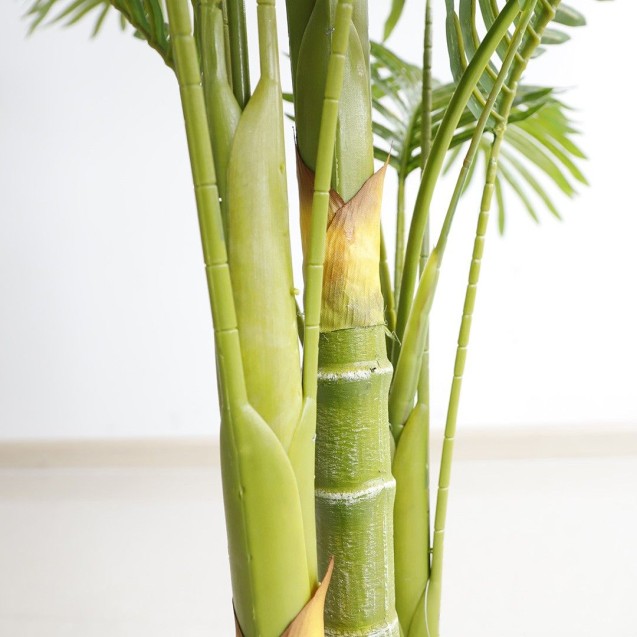 Palm Tree  Np5506_180_22  Ύψος 180cm Newplan Palm Tree  Np5506_180_22  Ύψος 180cm Newplan