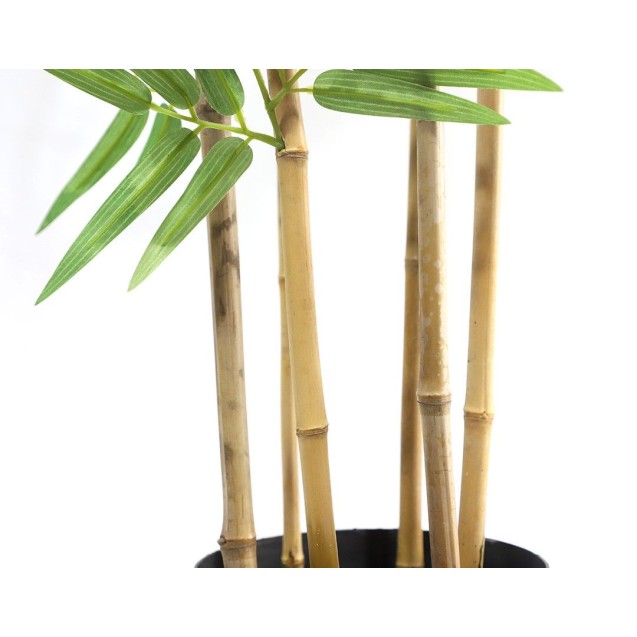 Bamboo  Np5801_150_22_Uv   Ύψος 150cm Newplan Bamboo  Np5801_150_22_Uv   Ύψος 150cm Newplan