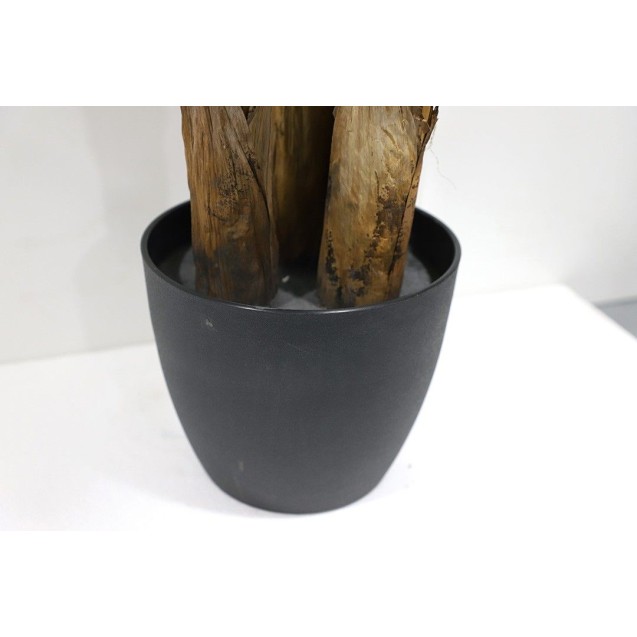 Banana Tree Np6327_180_22  Ύψος 180cm Newplan Banana Tree Np6327_180_22  Ύψος 180cm Newplan
