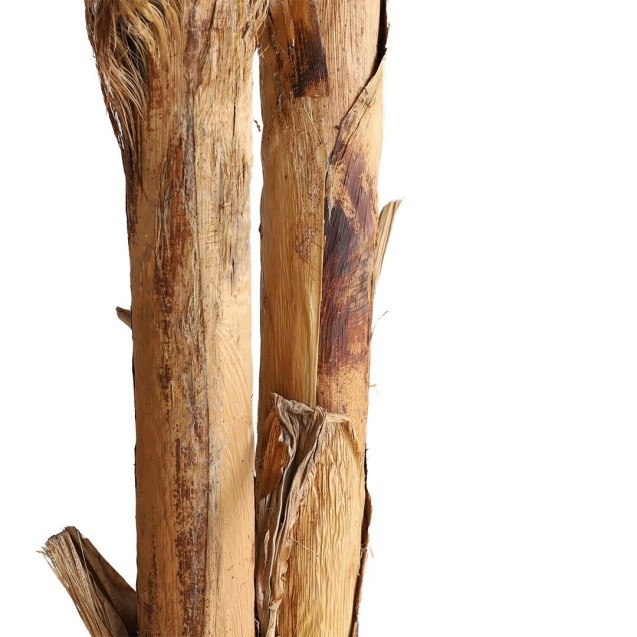 Banana Tree Np707_240  Ύψος 240cm Newplan Banana Tree Np707_240  Ύψος 240cm Newplan