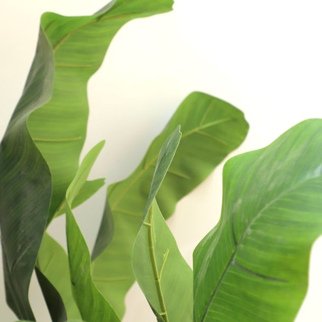 Banana Tree Np707_240  Ύψος 240cm Newplan Banana Tree Np707_240  Ύψος 240cm Newplan