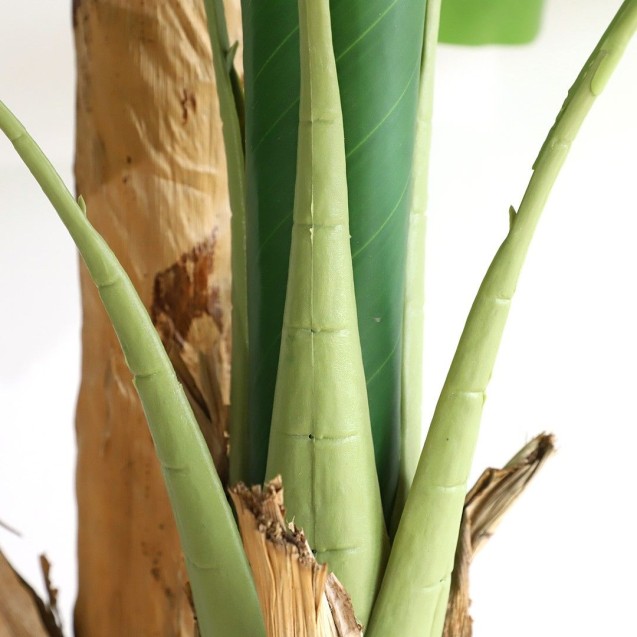 Banana Tree Np708_220  Ύψος 220cm Newplan Banana Tree Np708_220  Ύψος 220cm Newplan