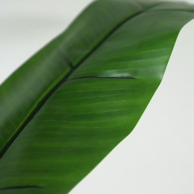 Banana Tree Np710_205  Ύψος 205cm Newplan Banana Tree Np710_205  Ύψος 205cm Newplan