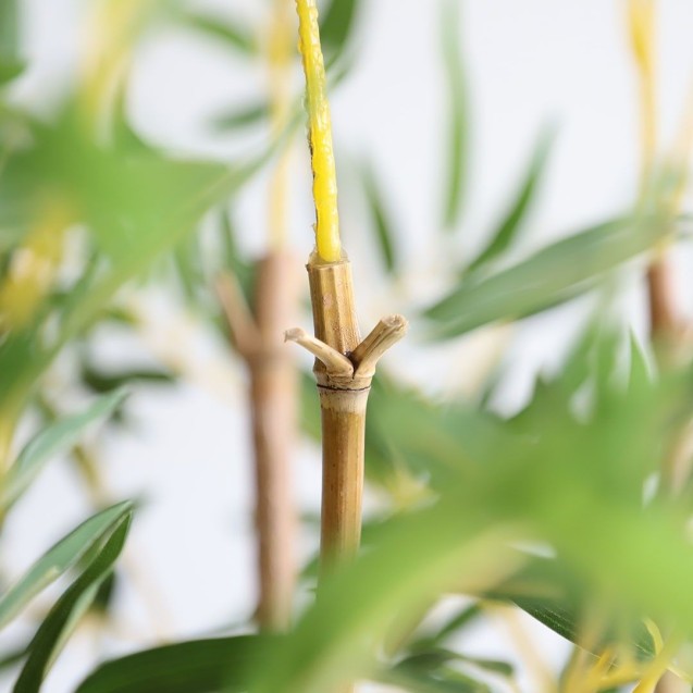 Bamboo In Pot (L90*W30)  Np827_180_Uv  Ύψος 180cm Newplan Bamboo In Pot (L90*W30)  Np827_180_Uv  Ύψος 180cm Newplan