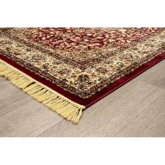 Χαλί New Plan Persia 5649 Burgundy Με Κροσσι 200x290 Χαλί New Plan Persia 5649 Burgundy Με Κροσσι 200x290
