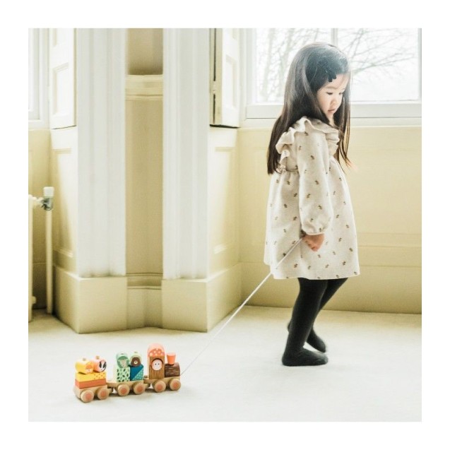 Ξύλινο Τρένο Woodland  (Fsc®) Orange Tree Toys Ξύλινο Τρένο Woodland  (Fsc®) Orange Tree Toys