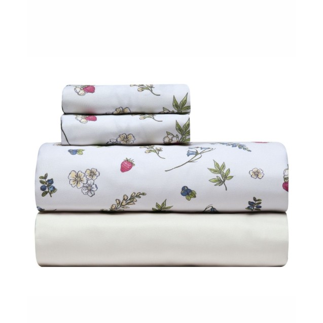 Σετ Σεντόνια King Size 4 Τεμαχίων Kentia Frutilla 12 270x270 Σετ Σεντόνια King Size 4 Τεμαχίων Kentia Frutilla 12 270x270